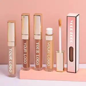 Concealer logo pribadi 5 warna, cairan concealer tahan lama harga murah, cakupan penuh