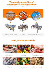 เครื่องคัดแยกเมล็ดกาแฟเชอร์รี่กีวีสับปะรดขนาดเล็กสำหรับวันที่ - Product Image 3