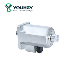 ZD800B2 ตัวกระตุ้นแม่เหล็กไฟฟ้าของแท้ ยี่ห้อ Yun Sida สำหรับเครื่องยนต์ดีเซล วาล์วปีกผีเสื้อ ตัวควบคุมปีกผีเสื้ออิเล็กทรอนิกส์ อะไหล่แท้ - Product Image 2