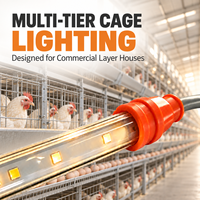 Luminaire LED tubulaire commercial pour volailles, haute qualité, longue durée de vie, 48V, dimmable, étanche IP67, solution d'éclairage pour fermes