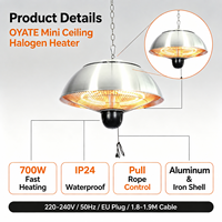 Lampe Chauffante Halogène Suspendue pour Plafond, 600W-900W-1500W, Corps en Aluminium et Fer, Idéale pour la Maison, la Terrasse et les Restaurants