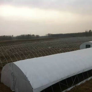 Serre à champignons à prix d'usine <span class=keywords><strong>2022</strong></span> - Product Image 1