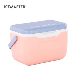 IceMaster新到6罐野餐冷却器5.5升冷却器小型轻便移动冷却器野营饭盒食物储存6罐硬C