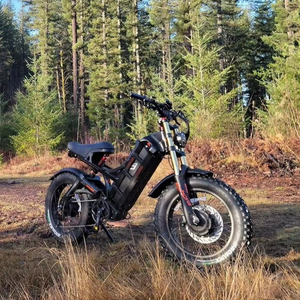 Vélo électrique de style cyclomoteur, homologué pour la route, pour adultes, avec batterie au lithium longue portée, frein hydraulique, pour les trajets en ville et la conduite quotidienne. - Product Image 1