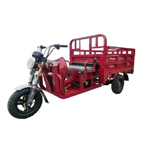 3 wheel motorcycle gas 3 wheel motorcycle trailer 3 wheel motorcycle taxi