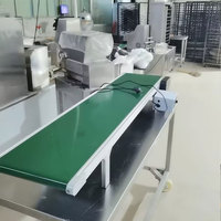 En Aluminium Alimentaire Fruits Micro Convoyeur Système Largeur 10/20/30cm Longueur 40/60/80cm ligne de produits personnalisés