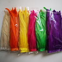 Plumes de coq colorées en gros de 25-30 cm, franges et garnitures pour tenues de carnaval, sacs à dos et décorations de coiffes