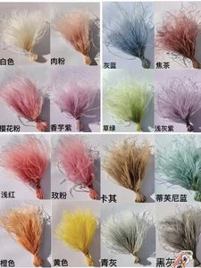 Vente chaude Ins Home Event Decor Préservé Stipa Tenuis Plume Herbe Fleurs pour Mariage et Halloween DIY Arrangements - Product Image 3