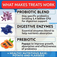 Poudre Probiotique Multi-Souches pour Chiens et Chats, Supplément Digestif Prébiotique, Équilibre la Flore Intestinale, Améliore la Consistance des Selles, Inhibe