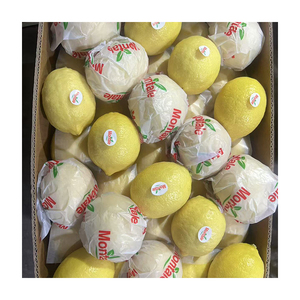 Limón Fresco de Alta Calidad para Bebidas, Fruta Agrícola, Limón Fresco y Jugoso, Ácido, Ovalado, Cosecha Reciente - Product Image 6