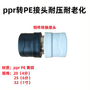 Adaptateurs et connecteurs PPR PE, raccords de conversion de tuyaux directs tout en plastique à âme en cuivre/acier avec technologie de fusion à chaud - Product Image 3