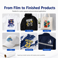 Film de transfert DTF Premium à finition nettoyante, double couche, 30cm 60cm, pour imprimantes Epson, impression textile sur T-shirts, direct usine