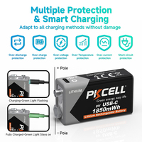 Batterie Lithium Rechargeable PKCELL USB AA 1850 mWh, Taille Double AA, avec Câble de Charge