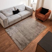 Tapis en fausse fourrure beige RO, fabriqué à la machine, doux et moelleux, pour intérieur, certifié OEKO-TEX, écologique, à poils longs de 2,5 cm, en PET