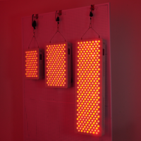 Panneau de luminothérapie LED infrarouge Sgrow 850 Nm, panneau de luminothérapie rouge