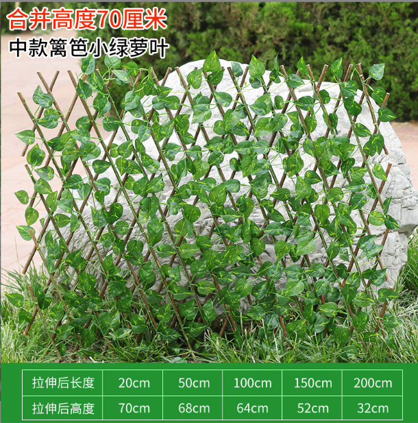 #9-70cm petite feuille