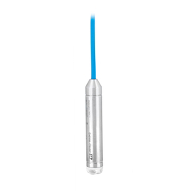 Endress+Hauser Hydrostatic Level Measurement Waterpilot FMX11(Please Contact Us for the Best Quote and to Confirm Delivery Time)