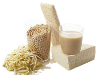 Ligne de production automatique de tofu Momen à commande PLC, sans emballage en tissu, sans moule de formage, facile à utiliser, pour la fabrication de tofu moelleux