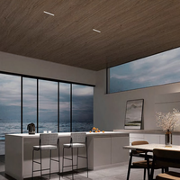 Alpha Light Grill Spot Luminaires Plafond Moderne Carré Encastré Downlight Linéaire Rondelle Murale