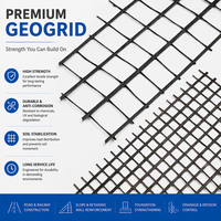 Géogrille plastique biaxiale TGSG pour le renforcement des fondations de décharges, la distribution de charge et la promotion de la capacité des sols