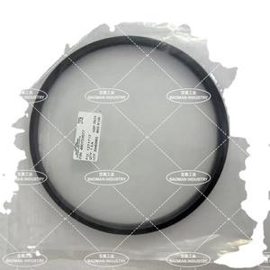 Kits de réparation Emerson Fisher RHTSX000192 8 pouces ORF, Anneau anti-extension, Anneau d'étanchéité N° de pièce 480153577 - Product Image 4