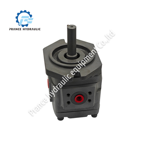 Prance Cast Iron Internal Gear <b>Pump</b> for Industrial Vehicles CE & ROHS Certified 330 <b>Bar</b> Operating Pressure - Product Image 4