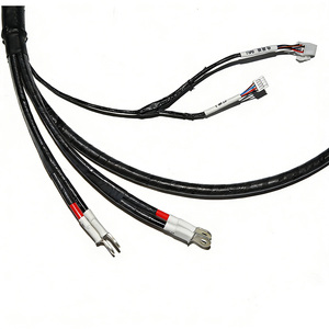 맞춤형 배선 하네스 케이블 어셈블리(다중 커넥터 포함) |   USB / 플러그 / 터미널 OEM - Product Image 5