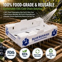 Corflute PP Corrugated Blueberry Crate Twin Wall Lightweight Fresh Berry Shipping Tray Wholesale Packaging OEM