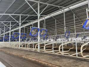 Matelas pour vache, lit d'eau, lit frotté, <span class=keywords><strong>prix</strong></span> d'usine direct, vente en gros, durable - Product Image 4