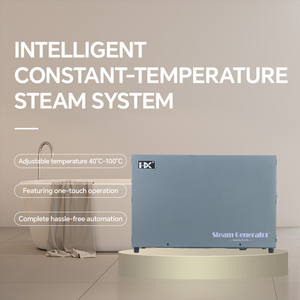 Générateur de vapeur électrique 12 kW avec contrôle intelligent de la température, en acier inoxydable, pour hôtel, <span class=keywords><strong>spa</strong></span>, <span class=keywords><strong>hammam</strong></span> - Product Image 2