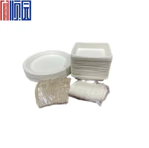 High Quality Degradable Disposable Tableware For Storage Of Disposable Fruit Bowls And Cups Disposable Plates