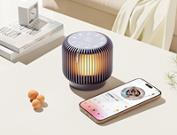 2025 Portable Home Decor Night Light Haut-parleur Machine à bruit blanc avec sons apaisants Aide au sommeil pour la maison en couleur or/violet