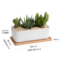 Vente flash Pots à succulentes rectangulaires et ronds en céramique blanche avec soucoupe en bambou