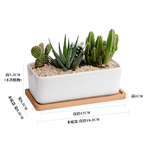 Vente flash Pots à succulentes rectangulaires et ronds en céramique blanche avec <span class=keywords><strong>soucoupe</strong></span> en bambou - Product Image 5