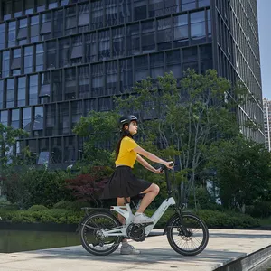 2024 patent e-bike faltbar faltbar 36 volt elektrofahrrad fahrrad für erwachsene