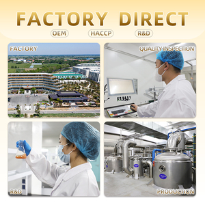 Marinada en Polvo para <span class=keywords><strong>Pollo</strong></span> Frito Picante, Mezcla Seca para un Sabor Personalizado - Product Image 6