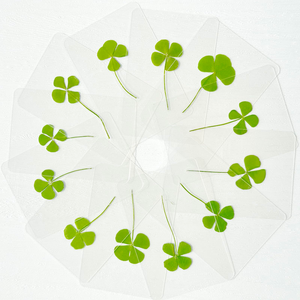 Lucky Clover Postcards Natural Grass Transparent Wishing Cards Ideal for <b>Bookmarks</b> & Decorations Perfect Holiday Gifts - Product Image 1