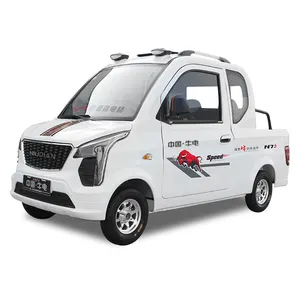 Hoge Snelheid Elektrische Voertuigen Elektrische Mini Pickup Truck Voor Volwassen Elektrische Utility Truck