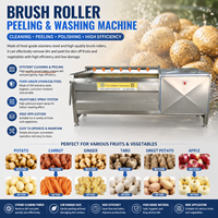 Machine automatique de lavage et de pelage à rouleaux brosse type 800/1000 pour pommes de terre, patates douces, manioc, carottes et légumes – Équipement de nettoyage