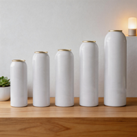 Petite boîte aérosol vide pour soins personnels et cosmétiques, impression sérigraphique personnalisée, boîte de pulvérisation en fer blanc sur mesure, OEM