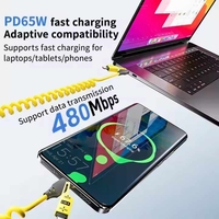 Câble USB-C blindé TPE 1,5 m PD 27W 65W Type C 5A à charge rapide, câble de données à ressort pour iPhone – Vente chaude directe usine
