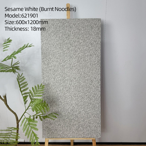 Piastrelle per Pavimentazione Esterna 600*1200*18mm per Ville e Parchi - Product Image 2