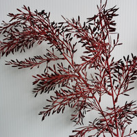 Plantes artificielles réalistes en plastique, style européen, 112 cm, pour hôtels et mariages, type Codariocalyx Dancing Grass Lovers' Weeds, rouge chinois