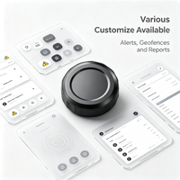 Sans SIM, application/API, aimant puissant, certifié FCC/CE, double système, historique de navigation, navigation GPS, intelligent, OEM/ODM, usine directe