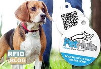Individueller Epoxid-RFID-NFC-Hunde-Haustiermarken-Identifikationsanhänger, wasserdicht, programmierbar, mit QR-Code und NFC