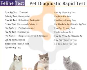 Pruebas de diagnóstico RAPIDO FELINE para felinos: kits combinados de gran venta para leucemia felina (FeLV), inmunodeficiencia felina (FIV), parvovirus felino (FPV), infección por parvovirus (FIP), GIA, FCOV y Toxoplasmosis. - Product Image 6