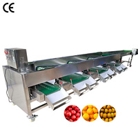 Automatische mandarijn sorteermachine, tomaat- en persimmon sorteermachine prijs