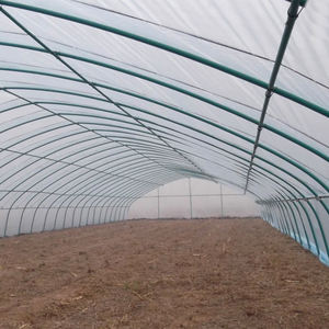 Estructura <span class=keywords><strong>de</strong></span> Invernadero Prefabricado Comercial para <span class=keywords><strong>Fresas</strong></span>, Champiñones y Tomates - Product Image 5