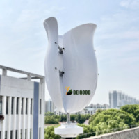 Éolienne Tulip populaire éolienne résidentielle éolienne à axe vertical à vendre 300w 500w 1000w