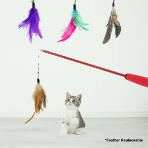 बड़ा पंख प्लास्टिक खिलौना वापस लेने योग्य बिल्ली पकड़ने घंटी बिल्ली की छड़ी छड़ी बिल्ली चिढ़ाने के साथ खिलौने इंटरएक्टिव खिलौने